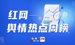 新闻爆料热点爆料案例,案例背后的真相与启示