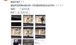 明星黑料网络爆料视频,网络爆料视频背后的真相与争议