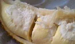 网红瓜哪里吃美食最多呢,探寻美食天堂的极致美味