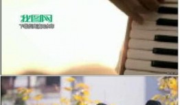 老人生活爆料视频播放大全,海量爆料视频大盘点