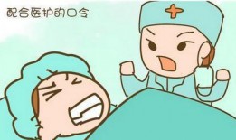 天津爆料人视频大全下载,揭秘城市热点事件瞬间