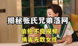 免费不良视频在线观看,揭秘免费不良视频在线观看的陷阱与风险