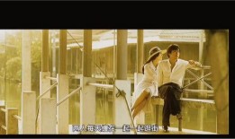 再见总有一天在线观看,穿越时光的约定