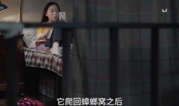 爆料二姐视频大全集播放,揭秘幕后故事与精彩瞬间