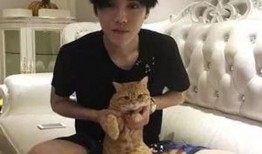 鹿晗豪宅爆料视频大全集,独家视频大全集带你领略明星奢华生活