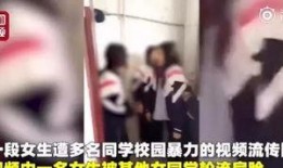 钟姓女子爆料事件视频,揭秘事件背后真相