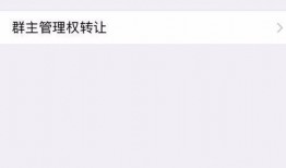 吃瓜群微信免费进群,畅享微信社交新体验
