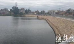 莆田水库爆料事件视频最新,真相与争议交织的环保风暴