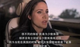 圣诞哈利爆料视频,揭秘神秘圣诞惊喜与魔法世界幕后