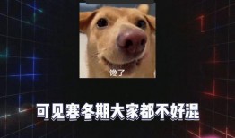 娱乐八卦听吃瓜,吃瓜群众热议的明星幕后故事