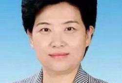 李少莉天涯爆料最新消息,揭秘事件最新进展与内幕