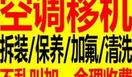 大爆料最新商品图片高清,高清图鉴，揭秘最新潮流单品！