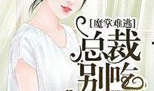 小说吃瓜叶姐免费阅读,宫廷秘闻与权谋风云