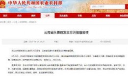 昭通爆料最新消息新闻,重大新闻事件追踪！
