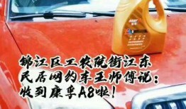 网约车王师傅爆料视频大全,揭秘网约车行业内幕视频大全