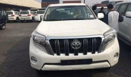 新款霸道爆料视频大全集,揭秘新款霸道爆料视频大全集亮点解析