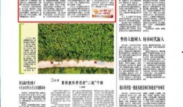 郴州日报爆料新闻事件最新,惊曝郴州某企业涉嫌违规操作，环保部门紧急介入调查