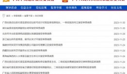 天网新闻爆料人员名单查询,揭秘幕后真相