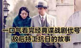 电视剧代号在线观看,揭秘在线观看背后的精彩剧情