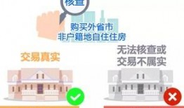 新闻现场爆料电话号码,紧急爆料！揭秘新闻现场神秘电话号码背后的真相