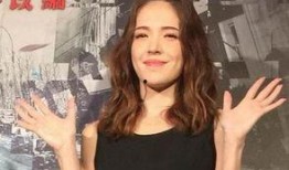 许玮甯娱乐日爆料,揭秘明星幕后故事