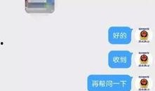 吉林公园爆料视频播放,吉林公园爆料视频引发热议