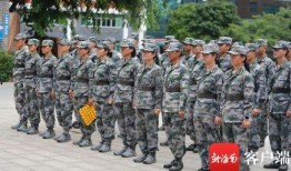 教官爆料大全视频下载,揭秘军营生活幕后真相