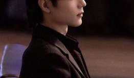 肖战娱乐圈爆料资本,揭秘资本操控下的明星命运