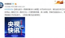 今日武汉爆料新闻,聚焦城市热点事件追踪