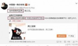 卓伟爆料斗鱼视频大全下载,斗鱼视频大全独家下载揭秘