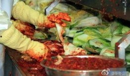韩国泡菜爆料视频,独家爆料视频带你领略传统美味