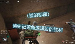 好吊包视频在线观看,揭秘在线观看的精彩瞬间