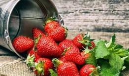 草莓皮肤爆料视频下载大全,尽享视觉盛宴