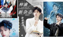 大陆娱乐头条爆料视频,独家爆料视频揭秘幕后真相