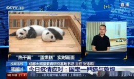 农村国宝爆料新闻视频,独家爆料新闻视频深度解析