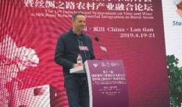 西北科技新闻爆料,揭秘前沿科技突破，引领区域创新发展