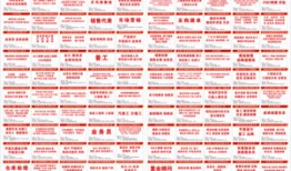 珠海每日爆料最新消息,揭秘城市热点事件背后的真相