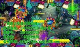 新闻爆料捕鱼机可以吗,新闻爆料揭示新型捕鱼设备之谜
