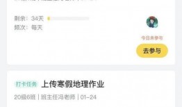 卓伟爆料鸡飞狗跳视频