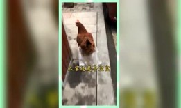 娱乐吃瓜群众素材图片,明星幕后故事大揭秘