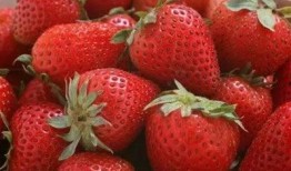 草莓皮肤爆料视频下载大全,尽享视觉盛宴