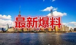 上海最新爆料,揭秘城市热点事件背后的真相