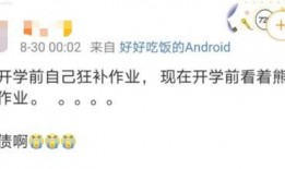 卓伟爆料鸡飞狗跳视频