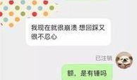 视频投稿爆料网站有哪些,揭秘热门视频投稿爆料网站大盘点