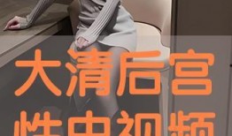 大清性史手机在线观看,揭秘古代宫廷秘闻，手机在线观看全纪录