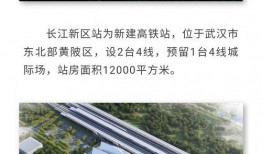 今日武汉爆料新闻,聚焦城市热点事件追踪