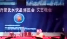东北爆料现场视频大全,视频大全揭秘东北风土人情