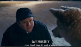 忠犬蓝波电影在线观看,忠诚守护，生死相依