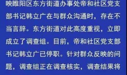 商丘网友爆料新闻,惊现神秘事件，真相即将揭晓！