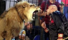 电影兽性难驯在线观看,激情与野性的狂野之旅